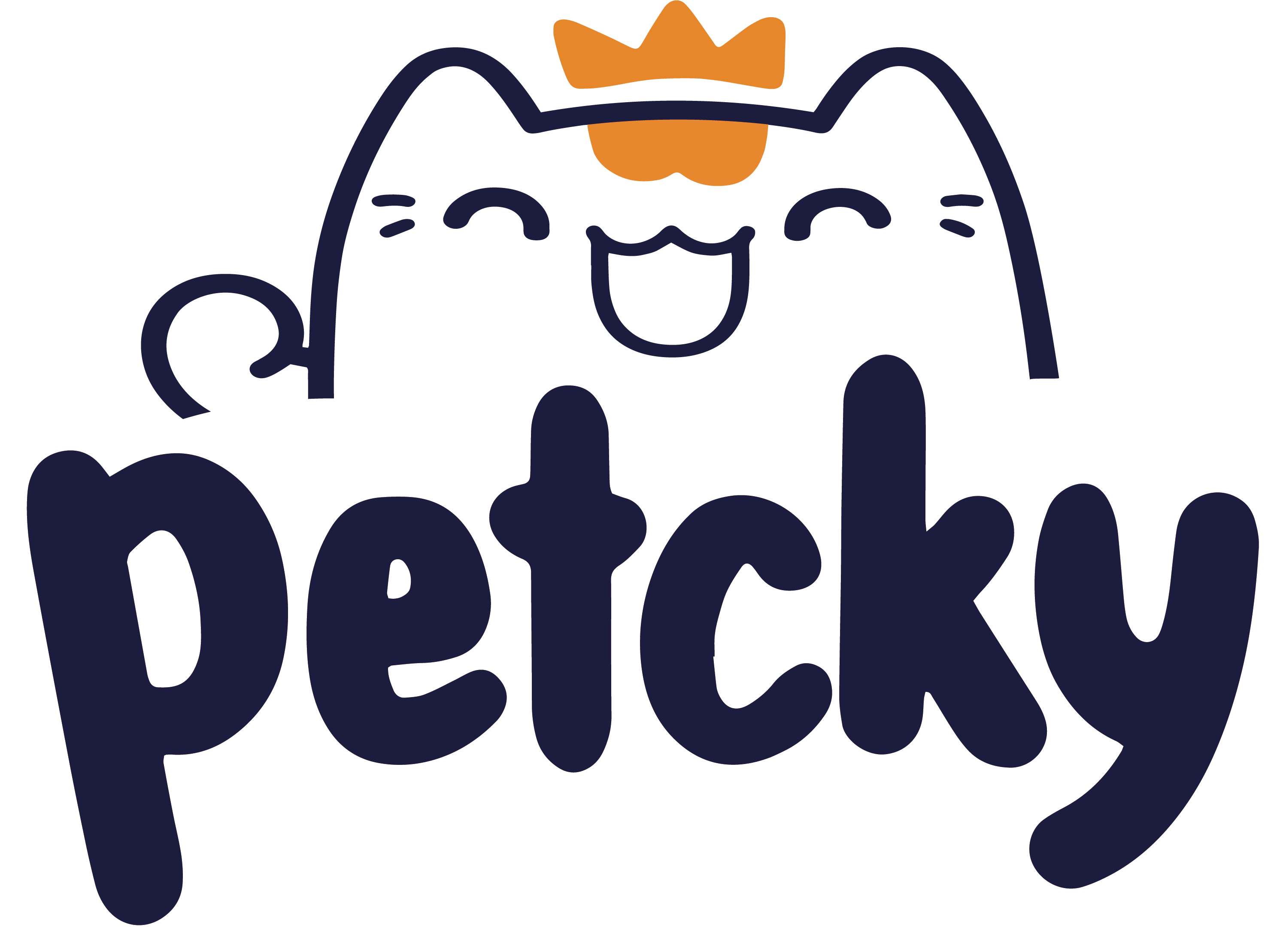 PETCKY COMPANY LIMITED